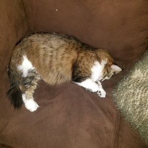 Meet your Posher, Chelsey